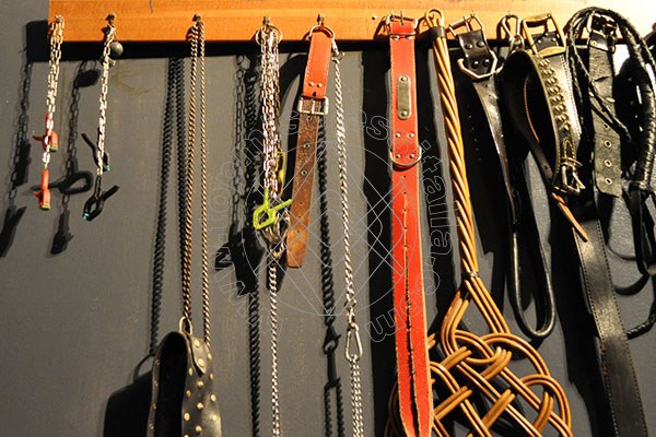 Foto 37 di Lady Paola mistress Roma